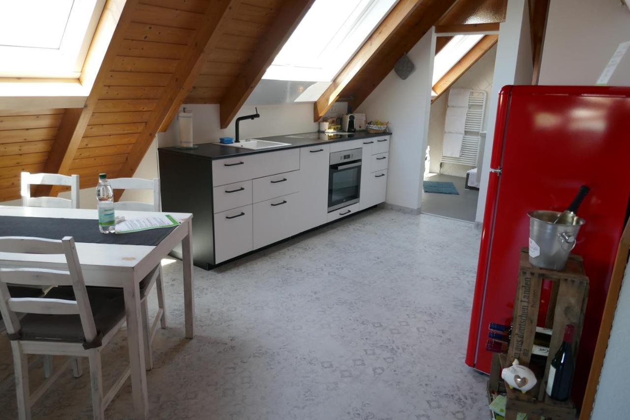 Merdingen Moderne 2 Zi - Fewo Weinbergliebe Am Tuniberg Zwischen Freiburg Und Frankreich מראה חיצוני תמונה